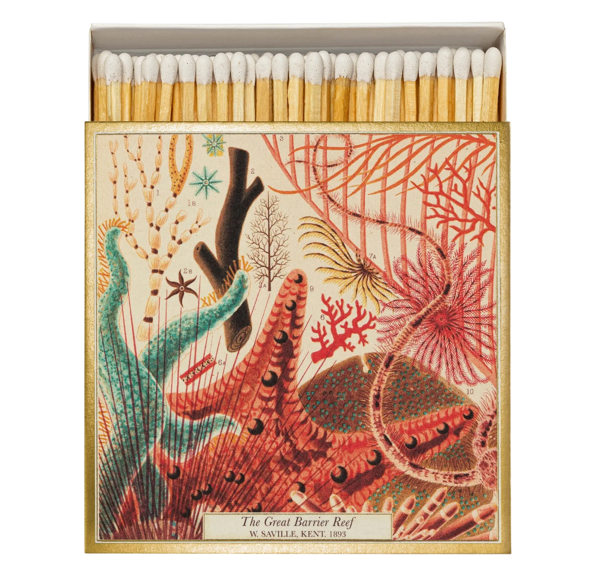 Square Safety Matches