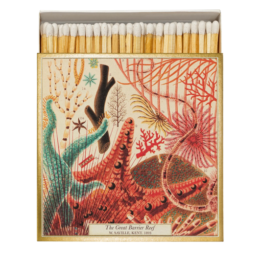 Square Safety Matches
