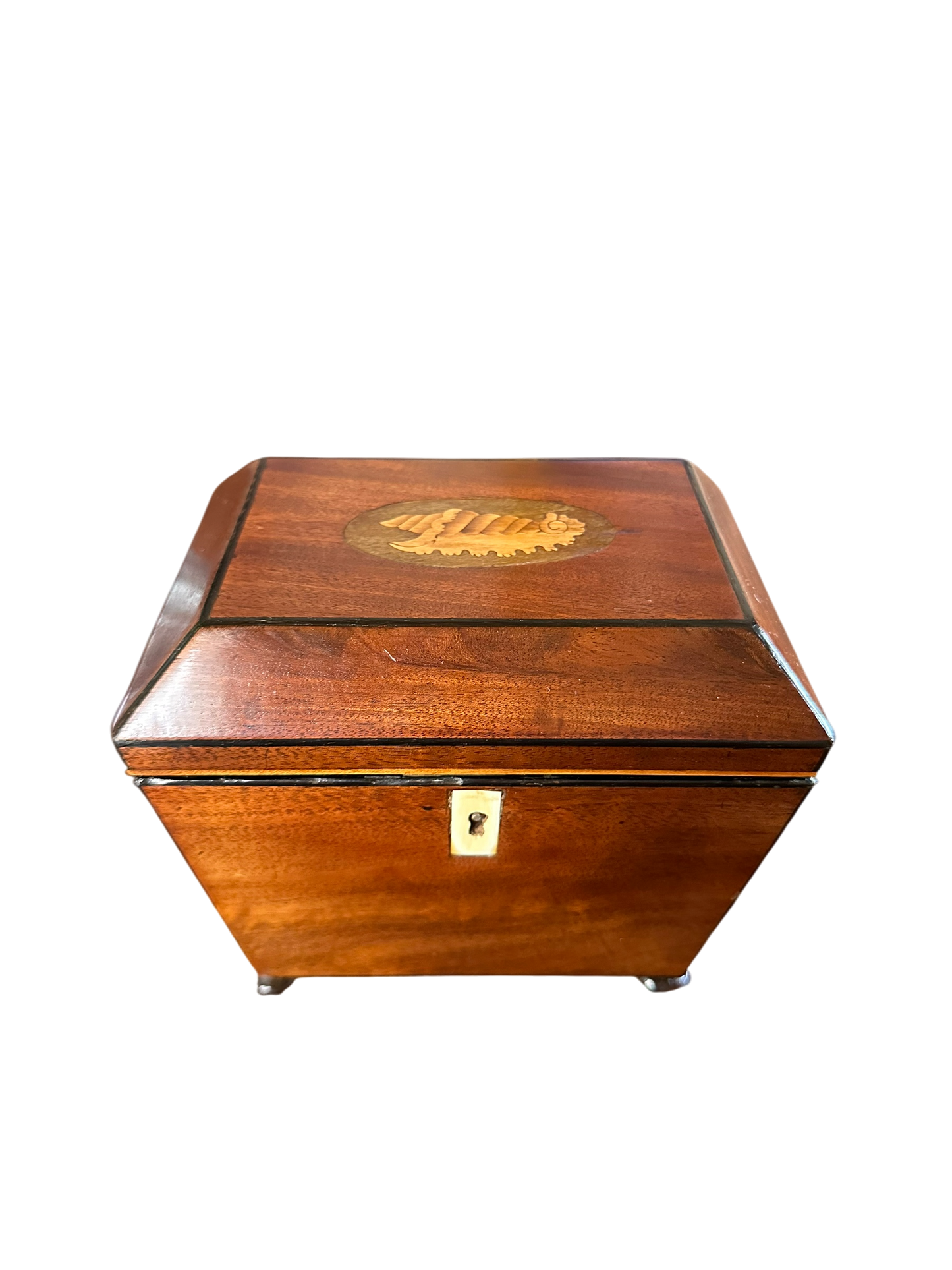 Sarcophagus Form Tea Caddy w/ Conch Shell Inlay c. 1810