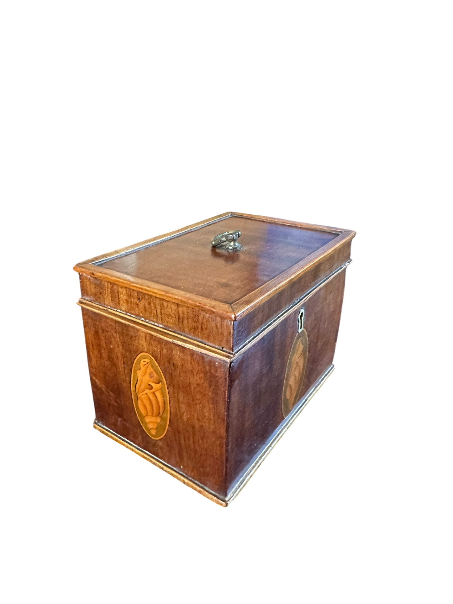 Neoclassical Tea Caddy w/ 3 Sided Conch Shell Inlay