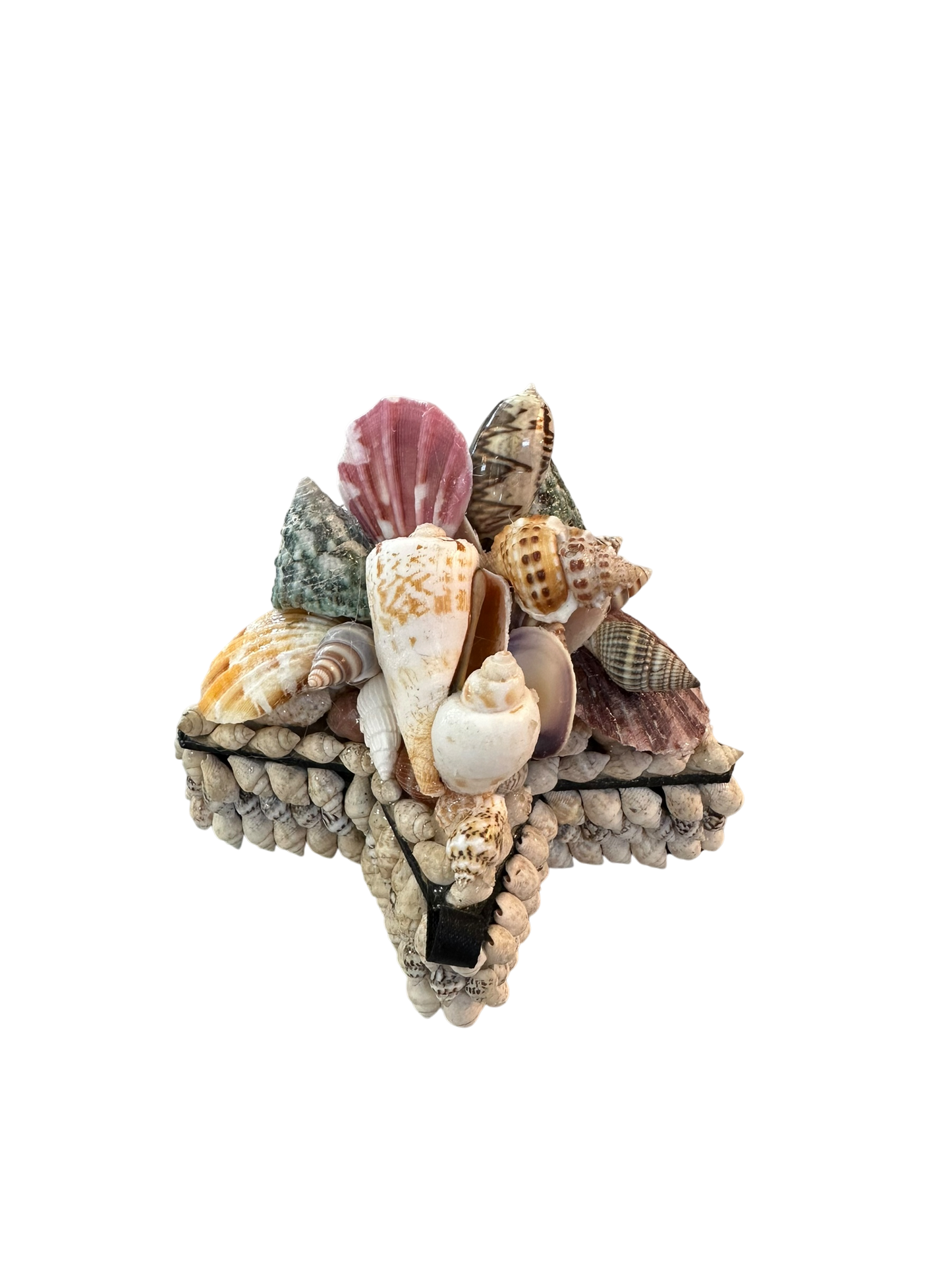 Jenn Leverett Art - Star Shell Encrusted Box