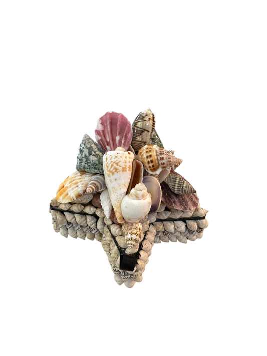 Jenn Leverett Art - Star Shell Encrusted Box