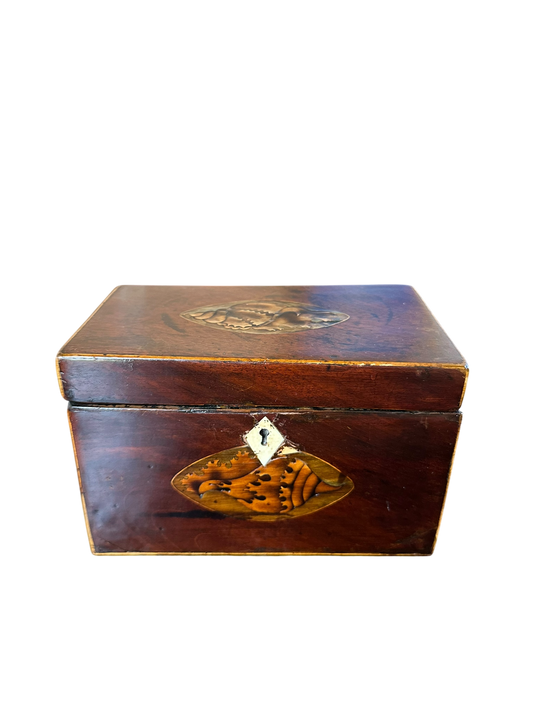 Georgian Tea Caddy w/ Double Oval Shell Inlay c. 1790