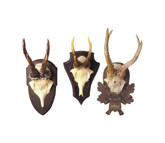 Black Forest Inspired Antler Mounts