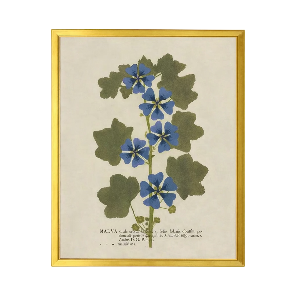 28” x 22” Vintage Dried Botanical Print