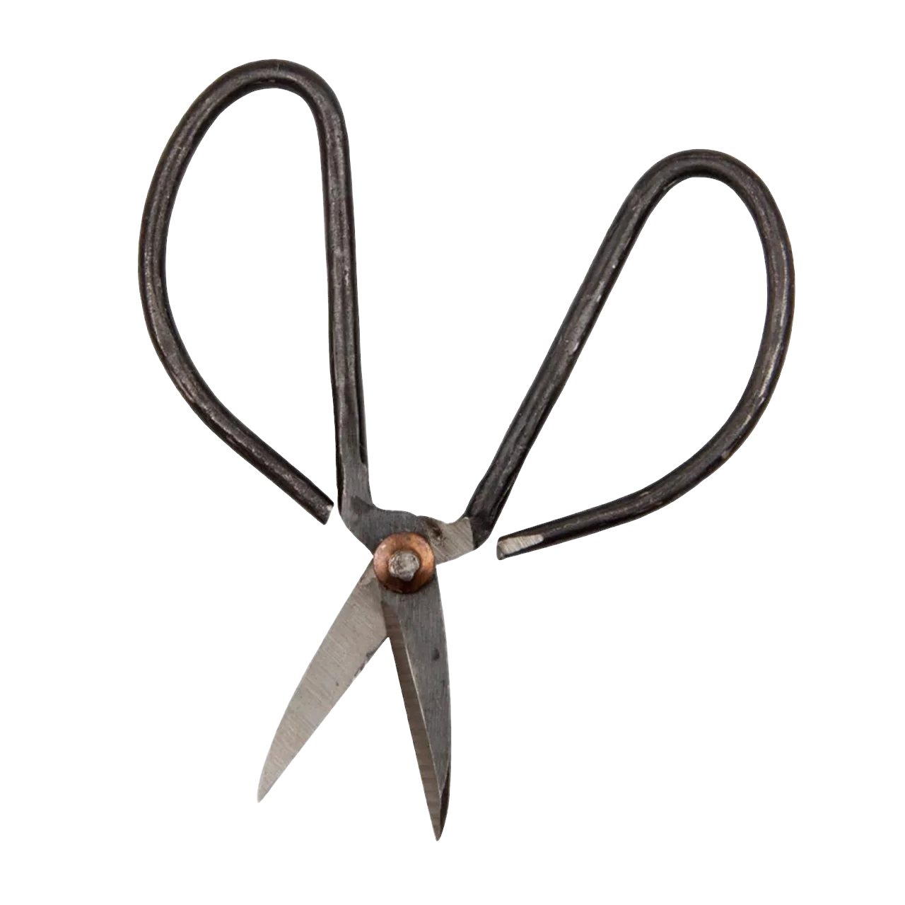 Edward Plant Clippers