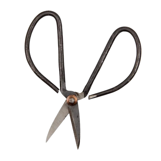 Edward Plant Clippers