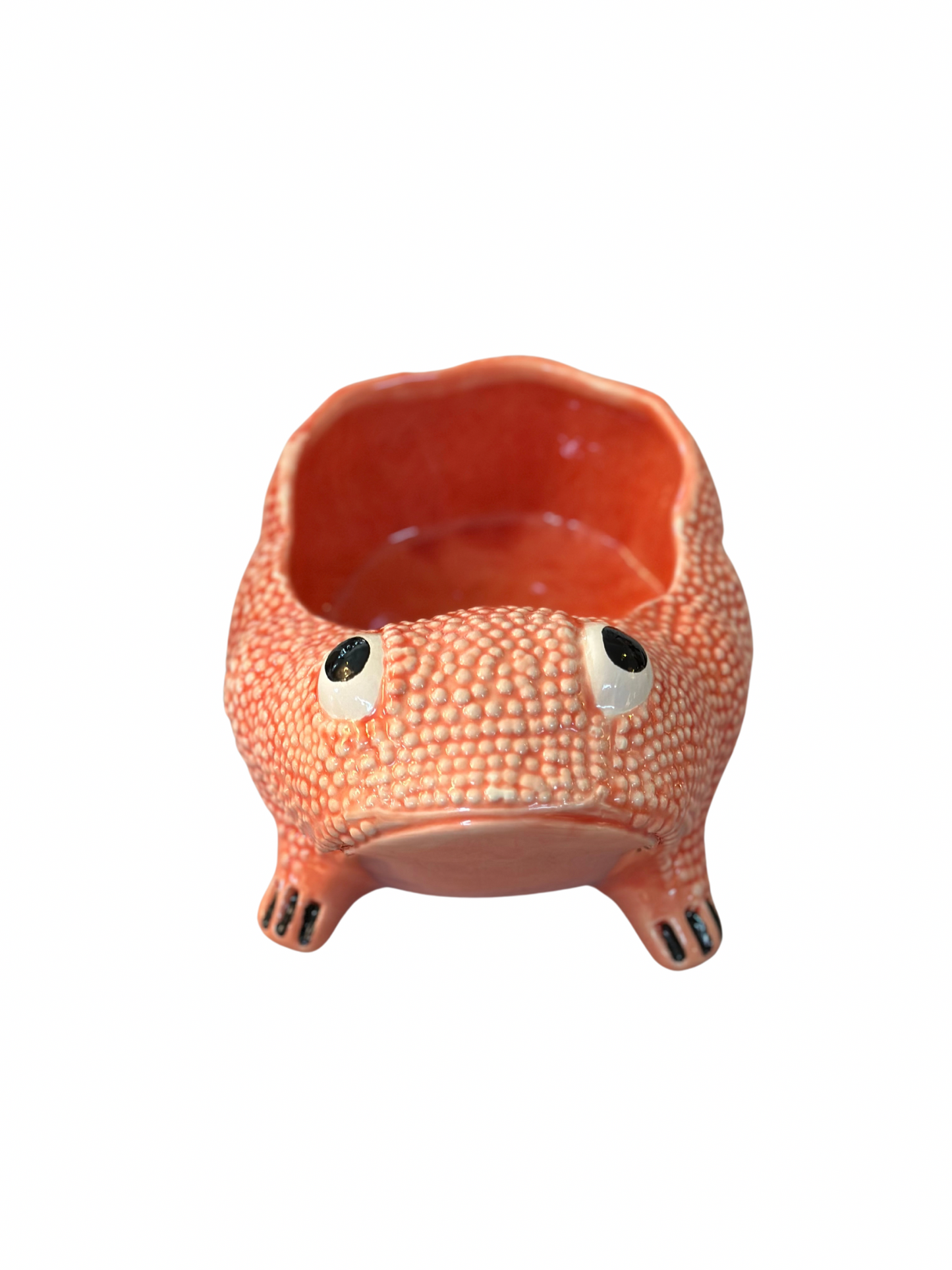 Medium Jean Roger Frog Planter