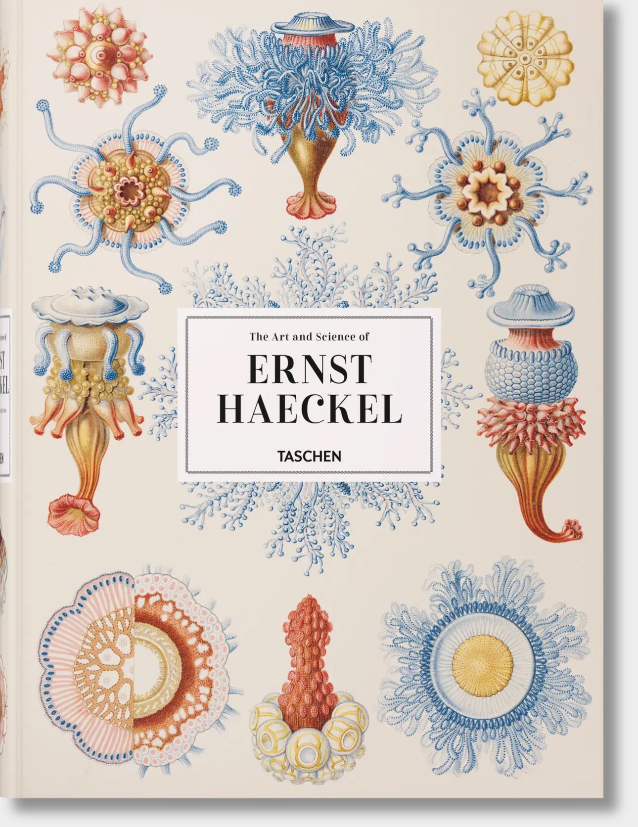 The Art and Science of Ernst Haeckel (German, French, English)