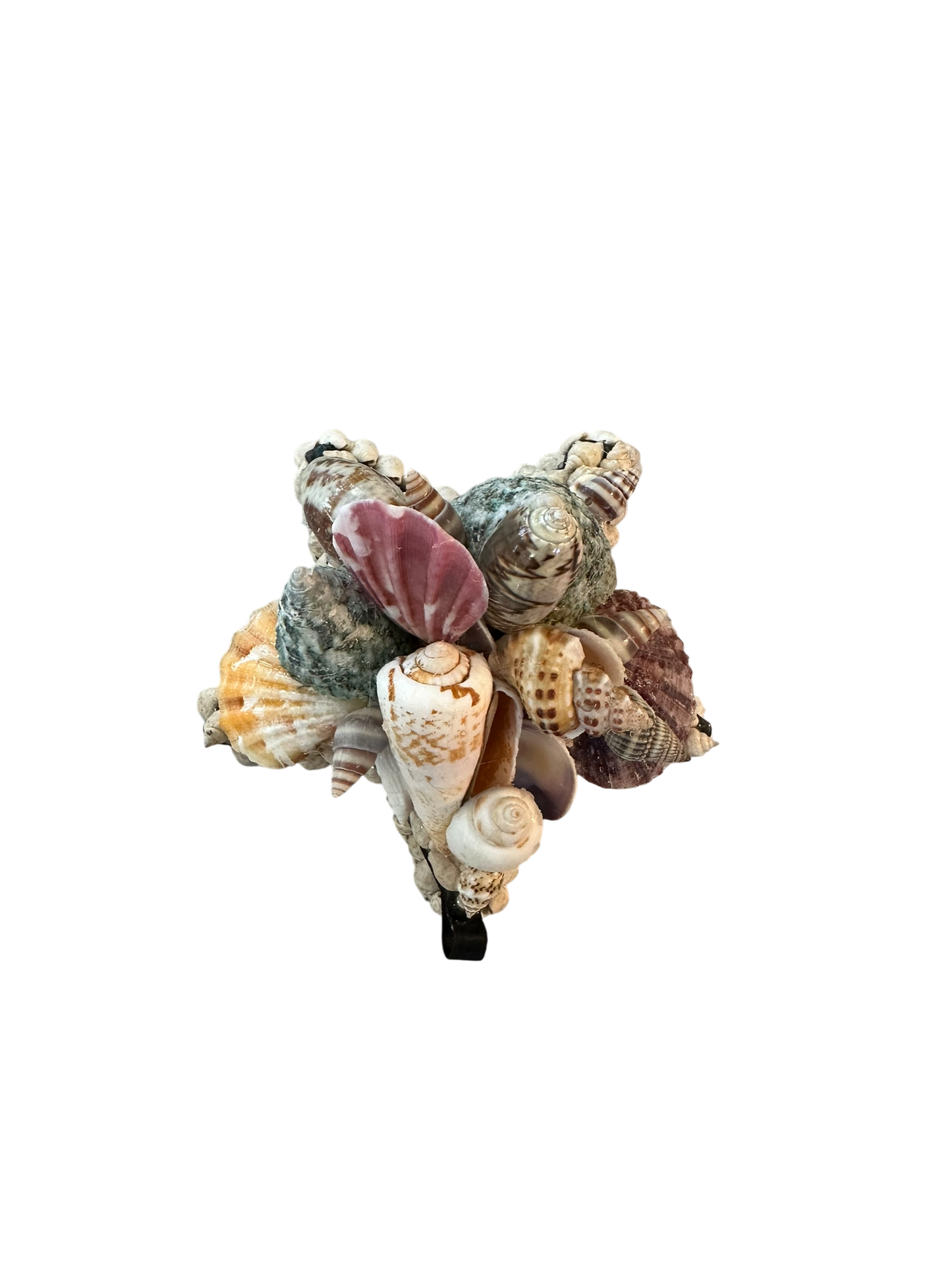 Jenn Leverett Art - Star Shell Encrusted Box