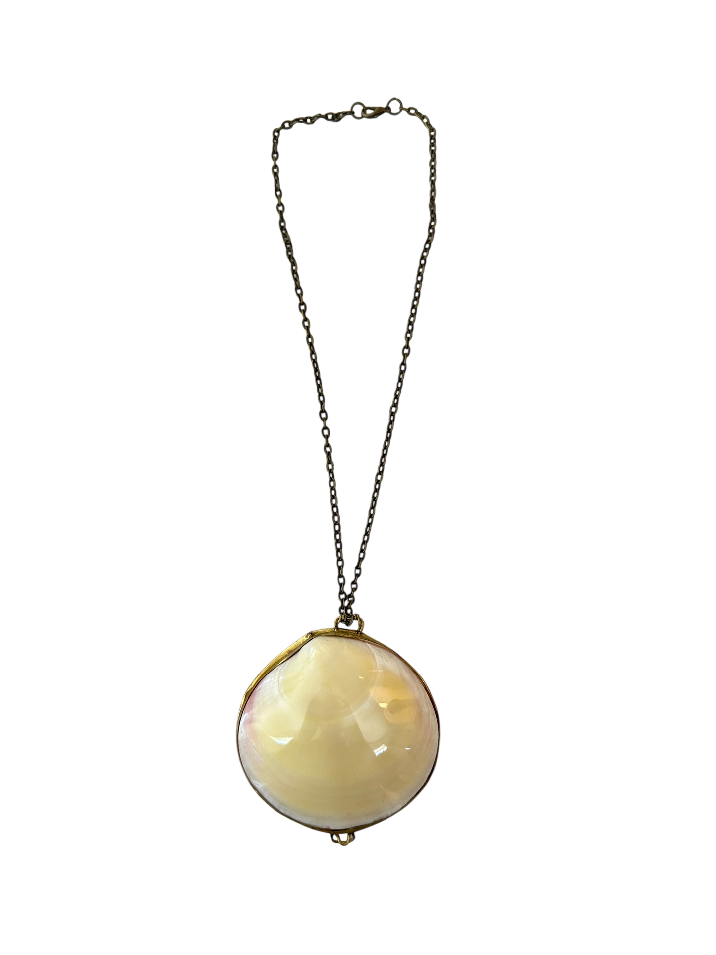 Antique Shell Pill Box Necklace