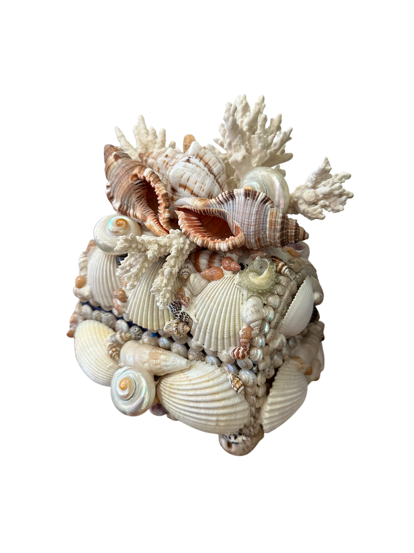 Jenn Leverett Art - Shell Encrusted Box VI
