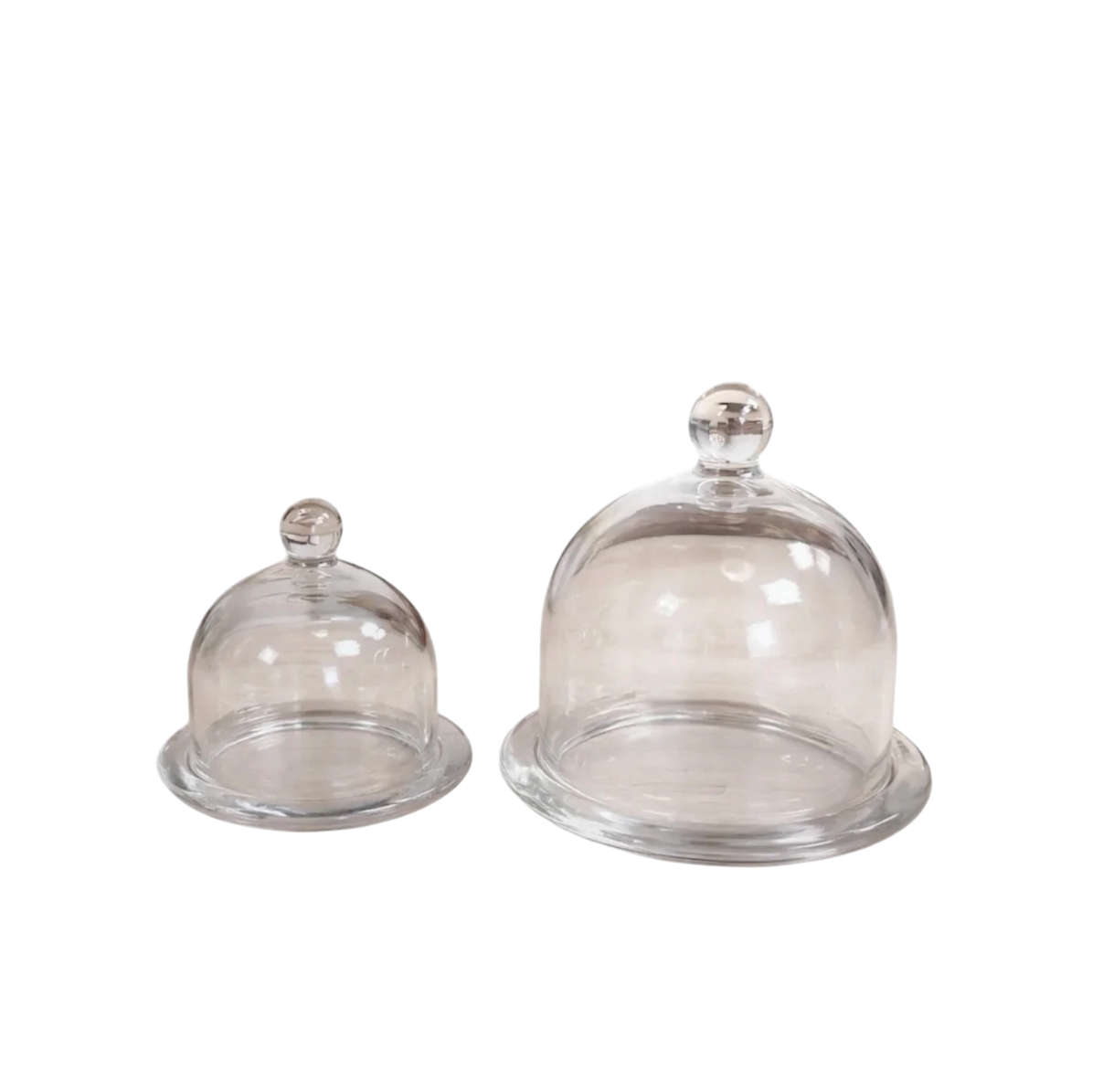 Glass Dome Cloche
