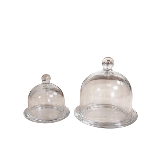 Glass Dome Cloche