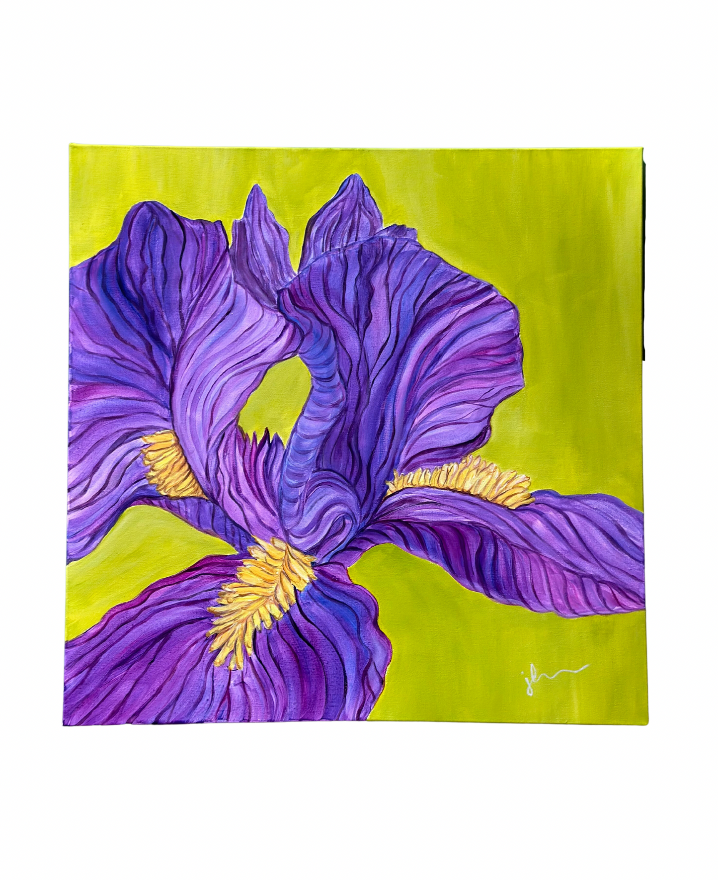 Jenn Leverett Art - Violet Iris on
Chartreuse