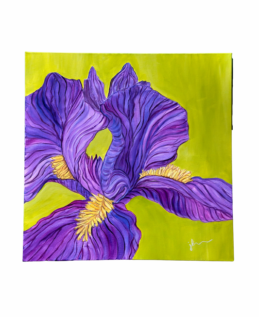 Jenn Leverett Art - Violet Iris on
Chartreuse