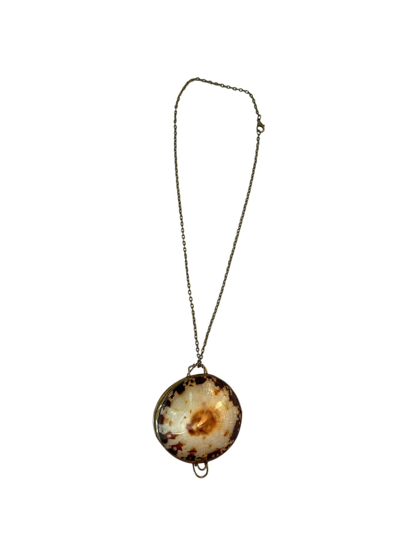 Antique Shell Pill Box Necklace