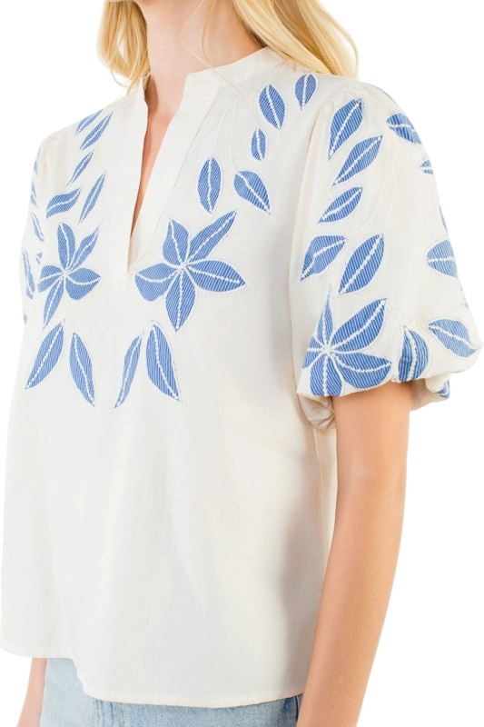 Puff Sleeve Embroidered V Neck Top