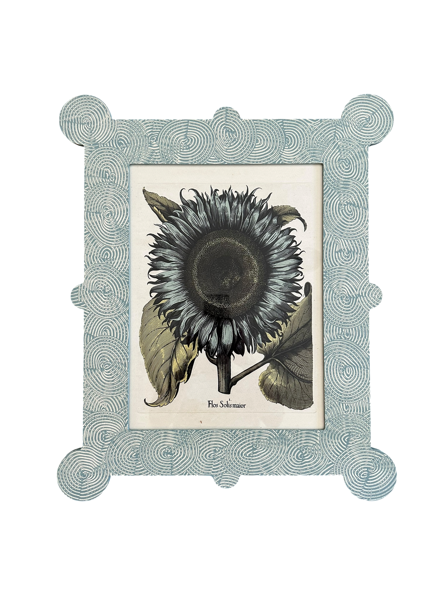 Blue Floral Botanical Print in Hand-Painted Frame