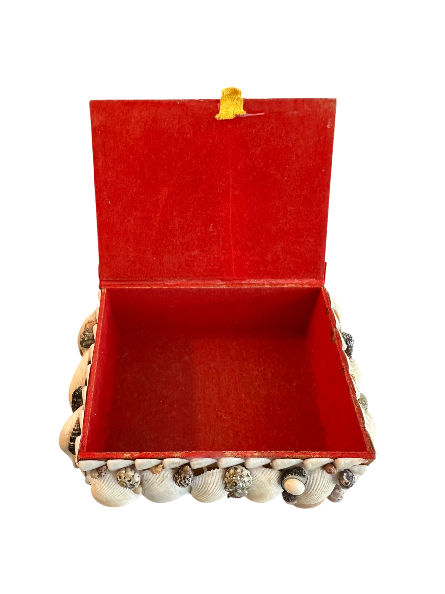 Jenn Leverett Art - Rectangular Shell Encrusted Box