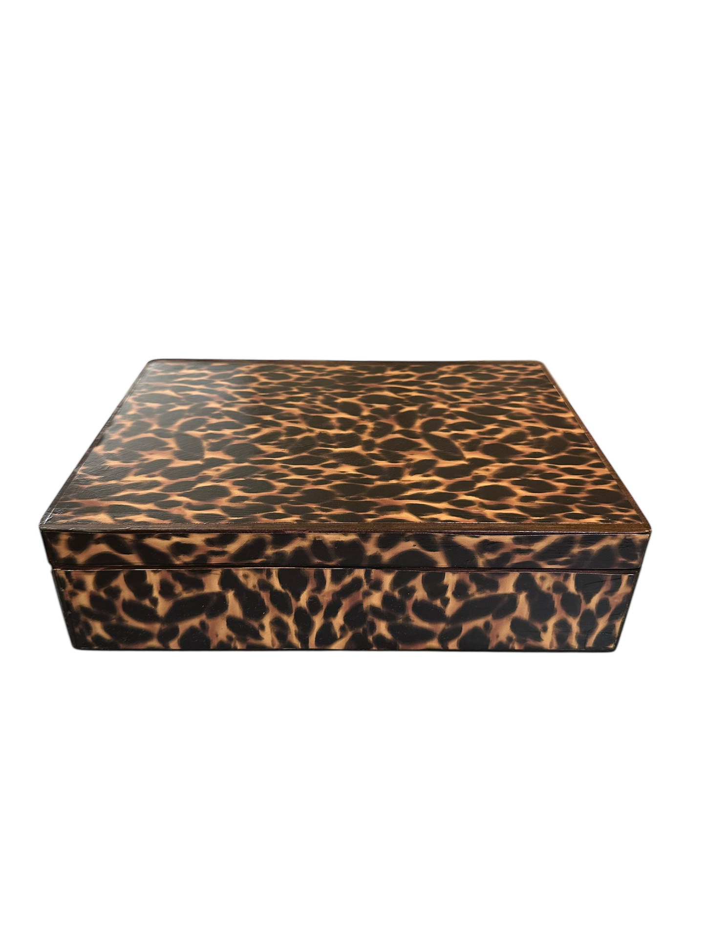 Large Rectangular Tortoise Box