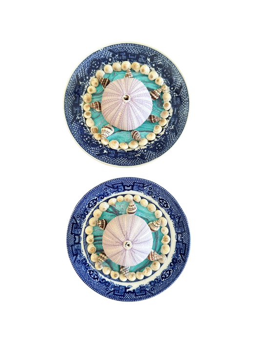Jenn Leverett Art - Pair of Urchins on Blue Willow