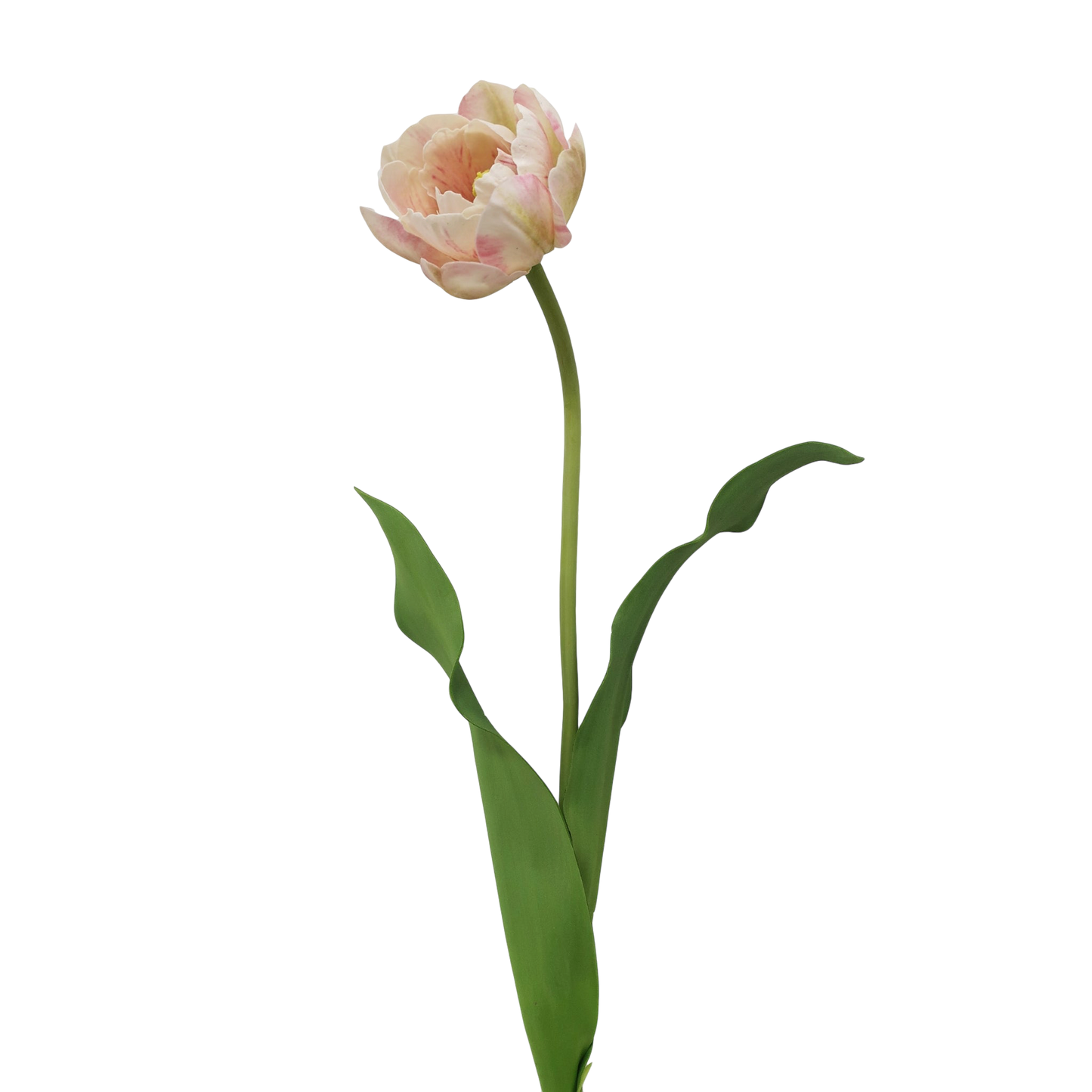 Double Layer Tulip 22” - Three Colors