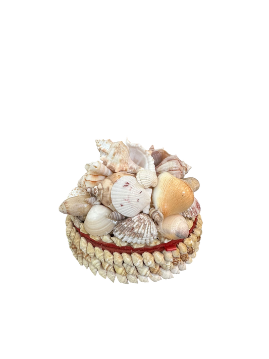 Jenn Leverett Art - Round Shell Encrusted Box
