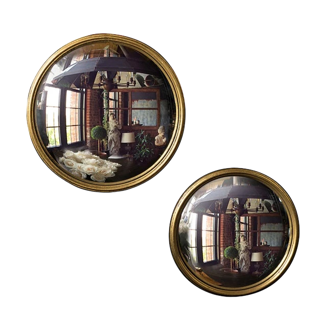 Bull Convex Mirror