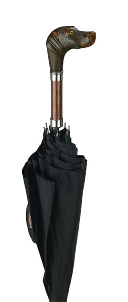 Brownie Umbrella