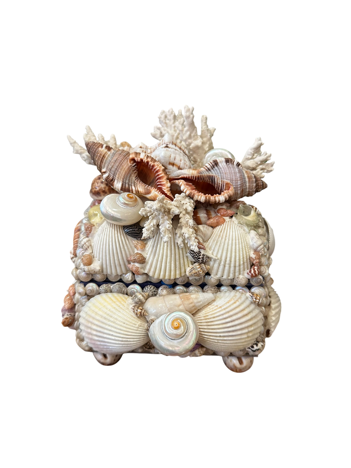 Jenn Leverett Art - Shell Encrusted Box VI