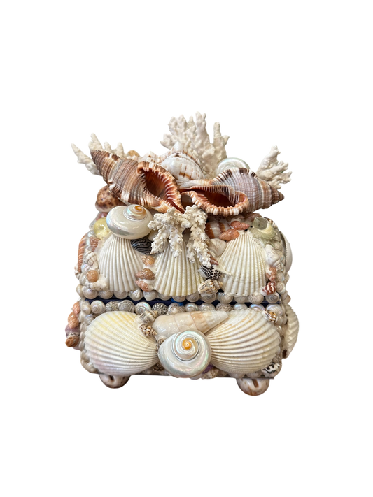 Jenn Leverett Art - Shell Encrusted Box VI