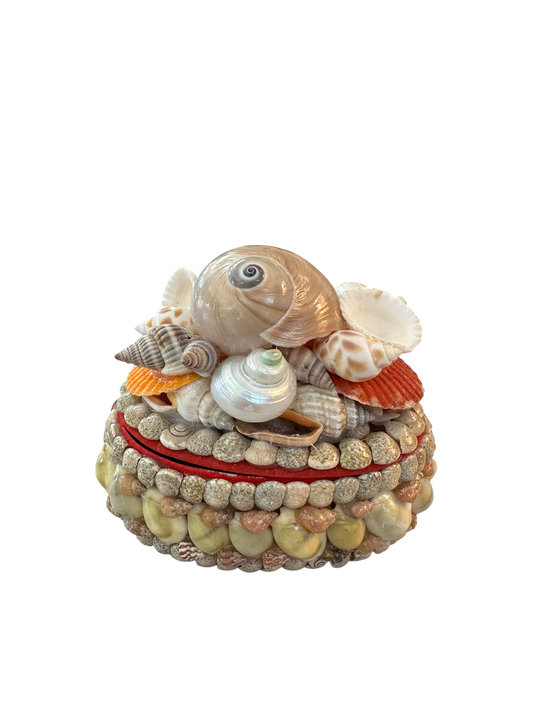 Jenn Leverett Art - Oval Shell Encrusted Box