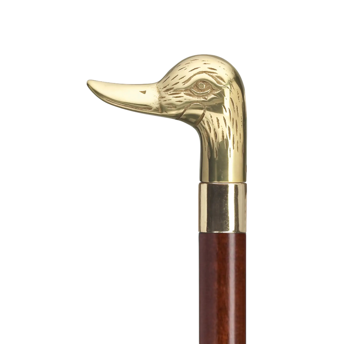 Walking Sticks