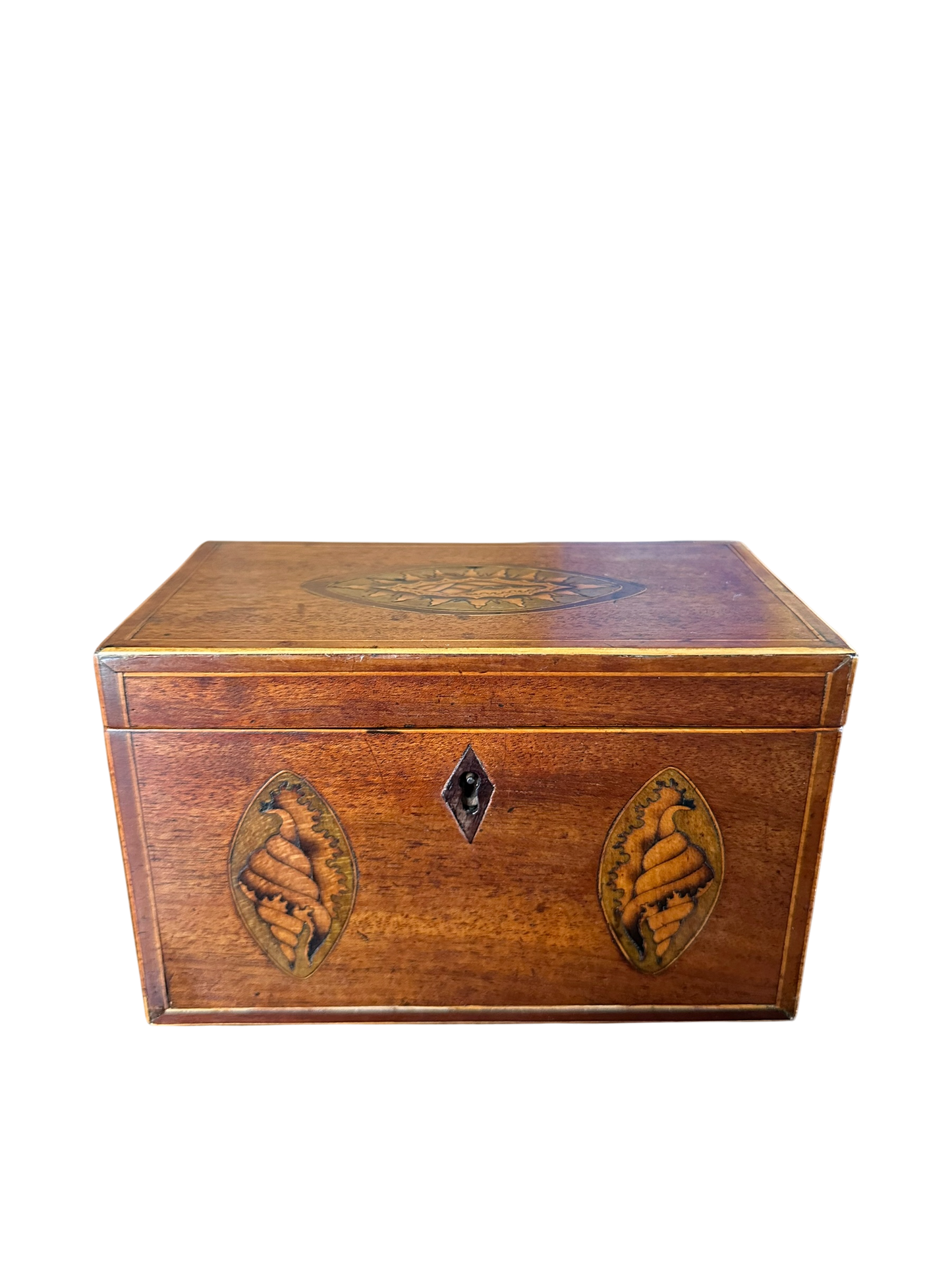 George III Tea Caddy w/ Double Shell Inlay Front c. 1790