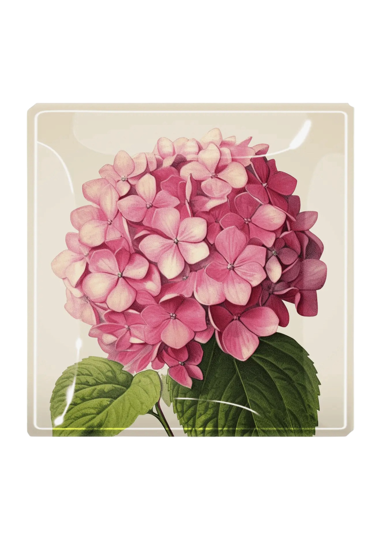 Pink Hydrangea Decoupage Glass Tray
