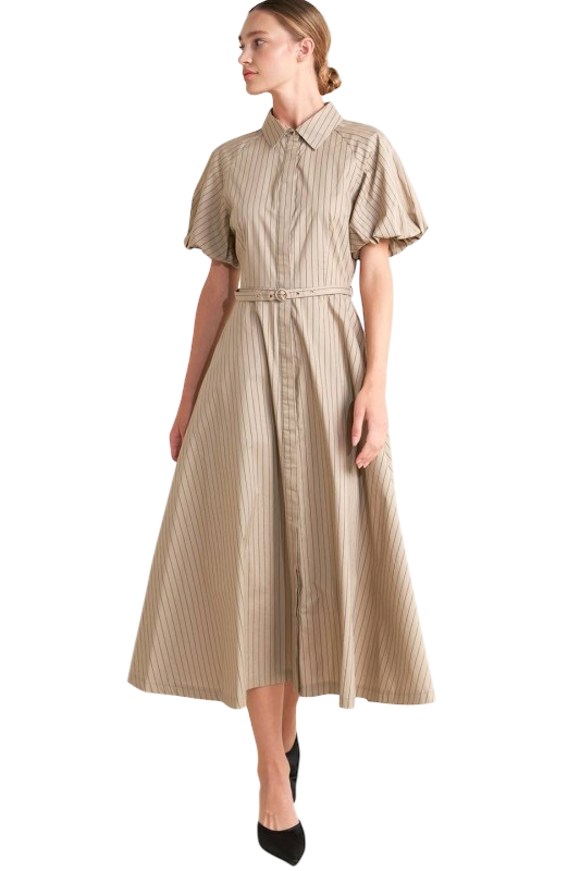 Belted Pinstripe Shirt Dress