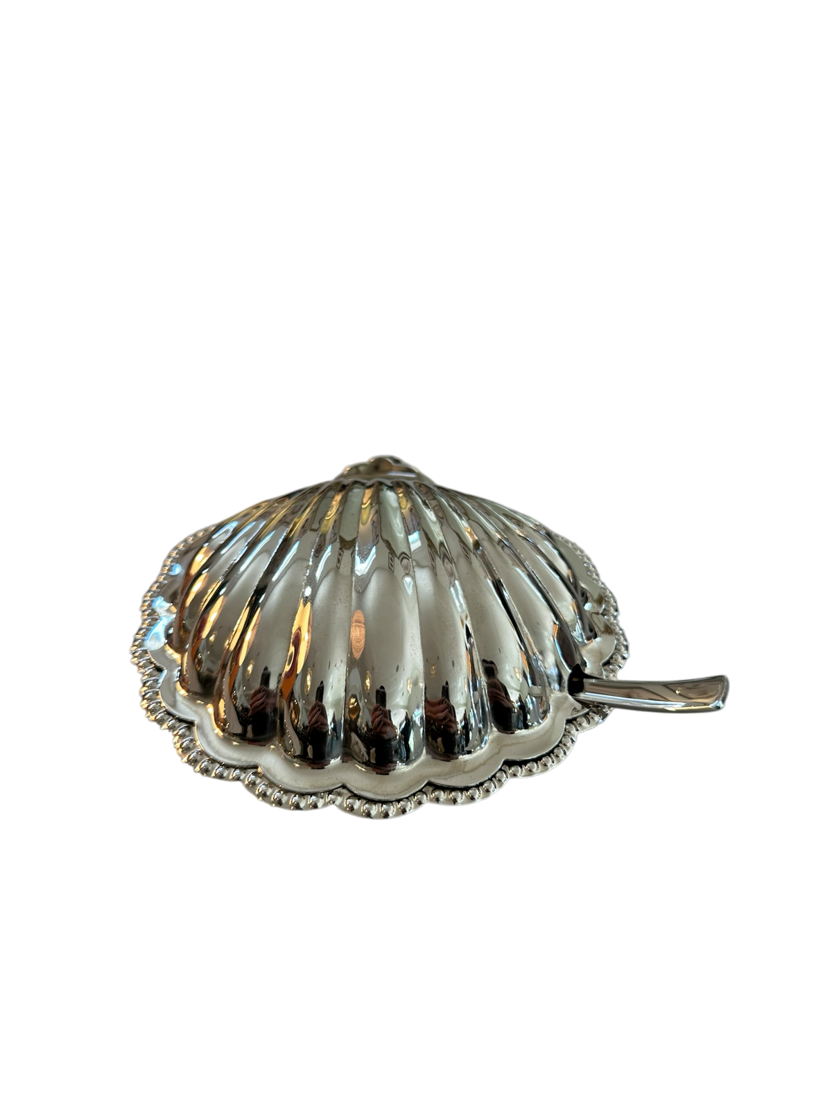 Hotel Shell Lidded Bowl