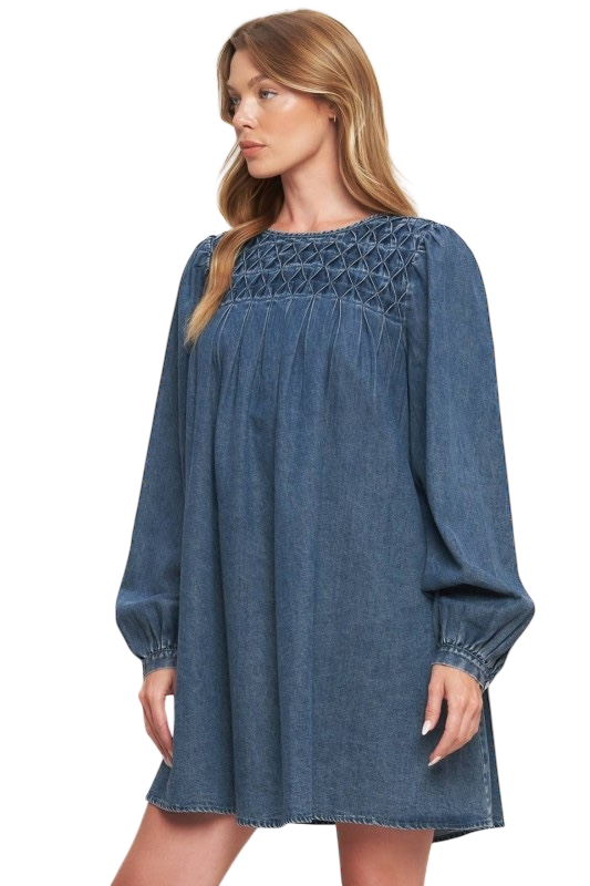 Long Sleeve Pleated Denim Mini