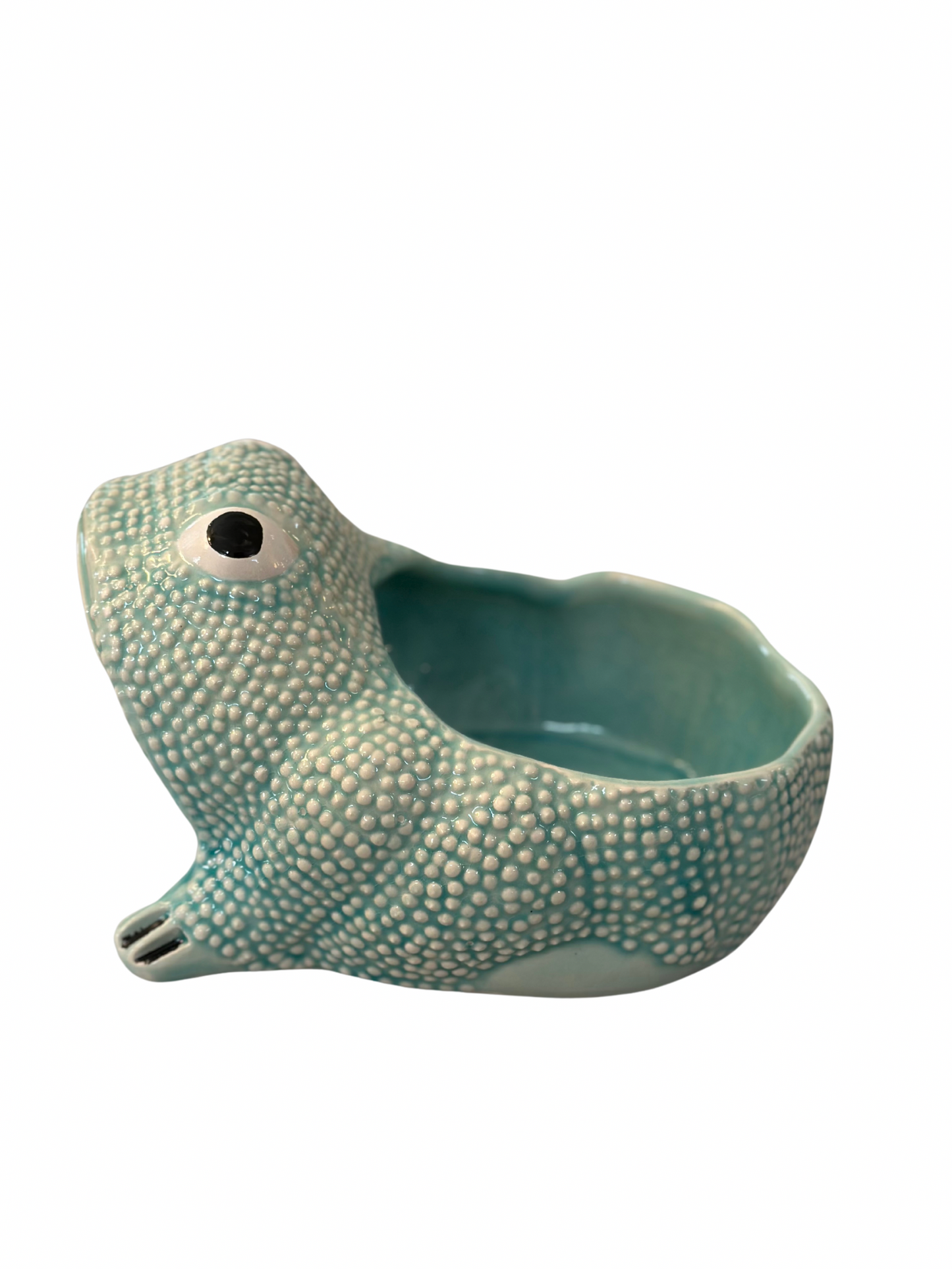 Medium Jean Roger Frog Planter