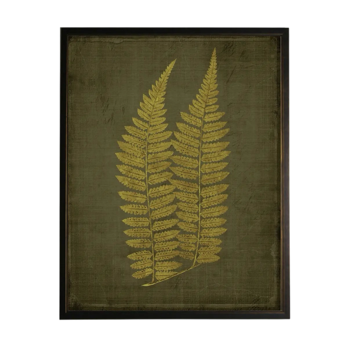 Golden Fern Prints