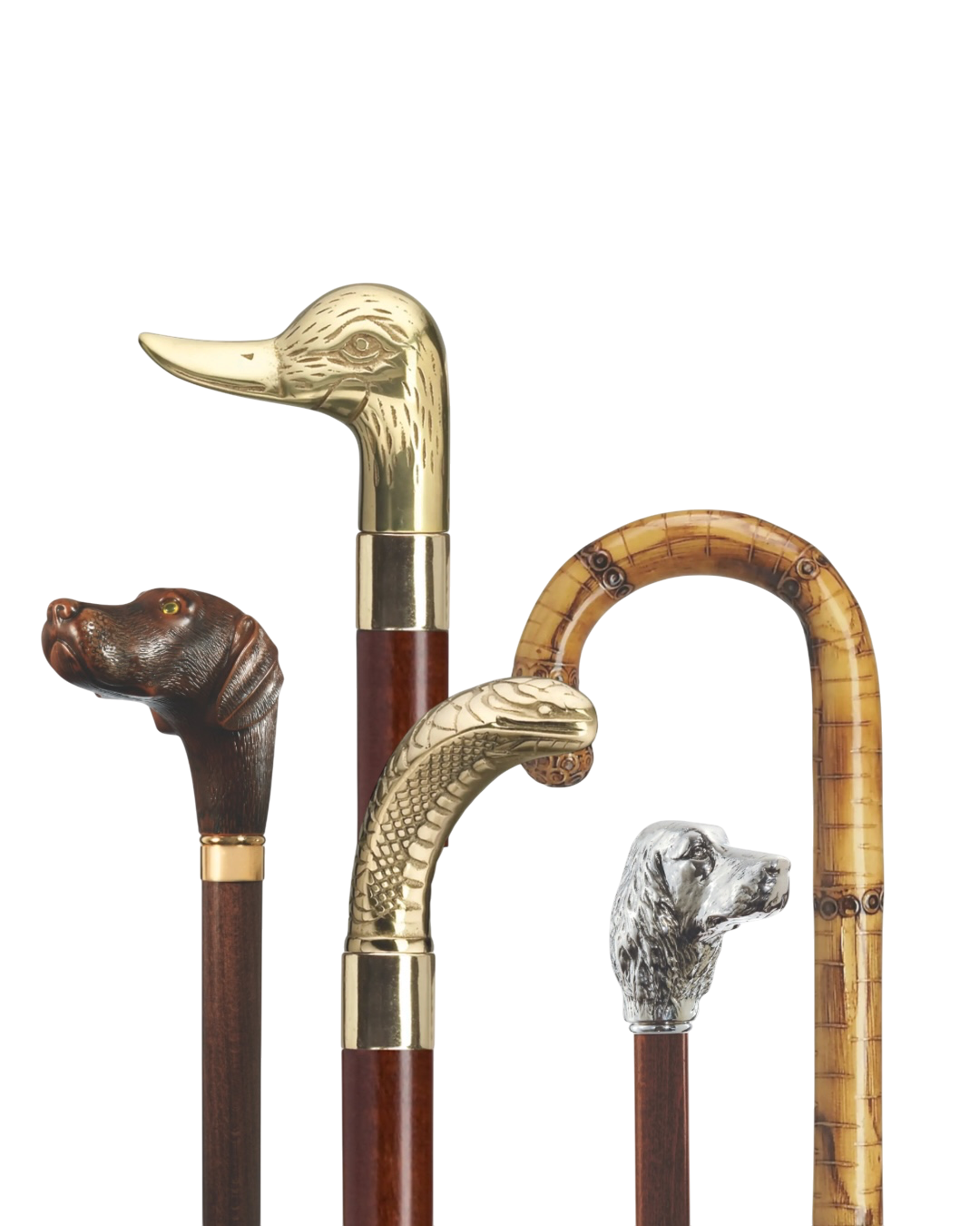 Walking Sticks