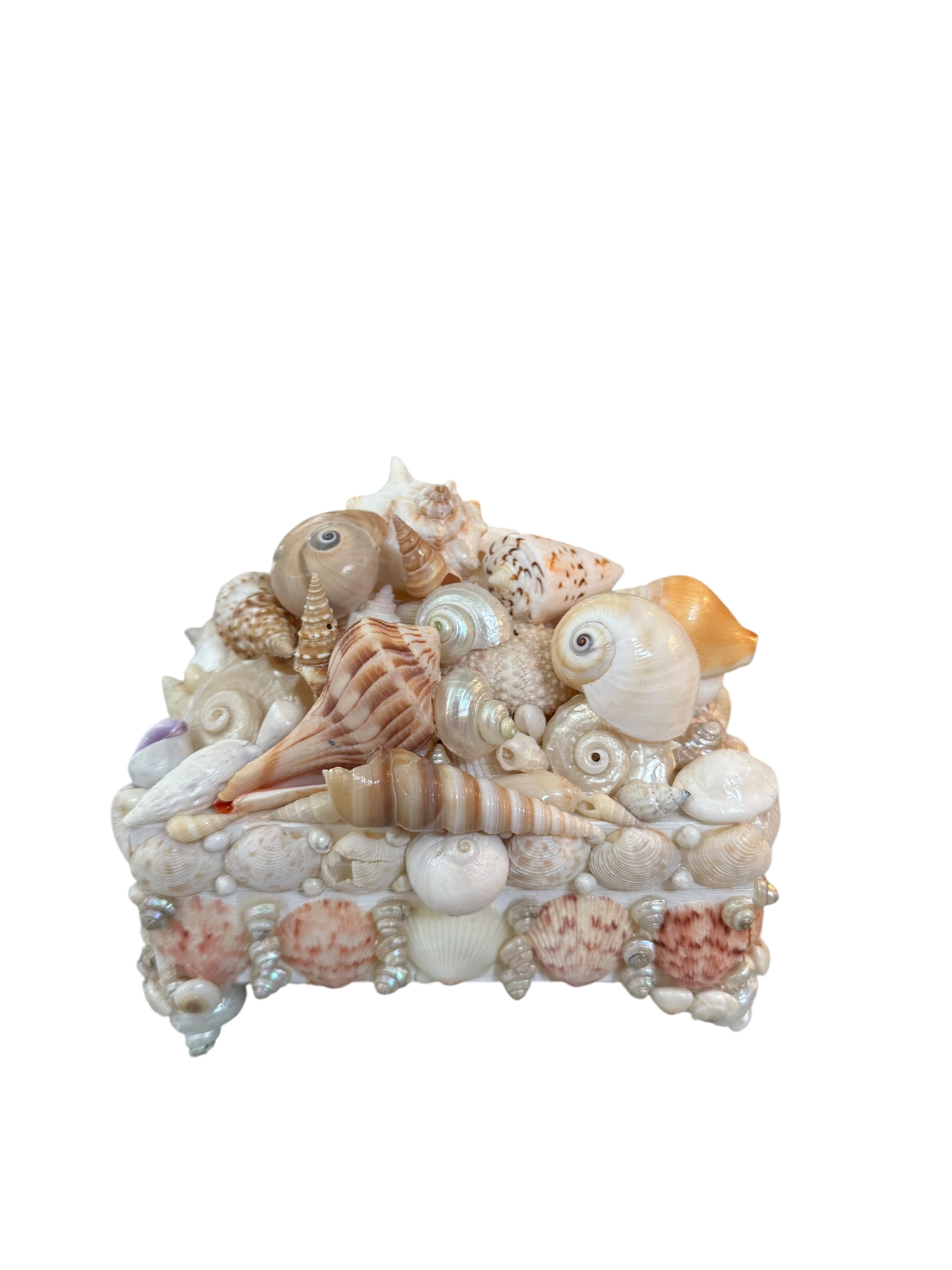 Jenn Leverett Art - Shell Encrusted Box VII