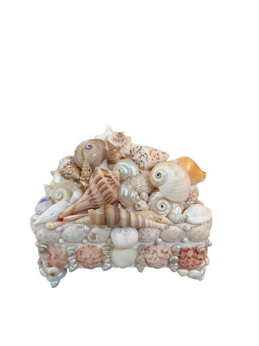 Jenn Leverett Art - Shell Encrusted Box VII