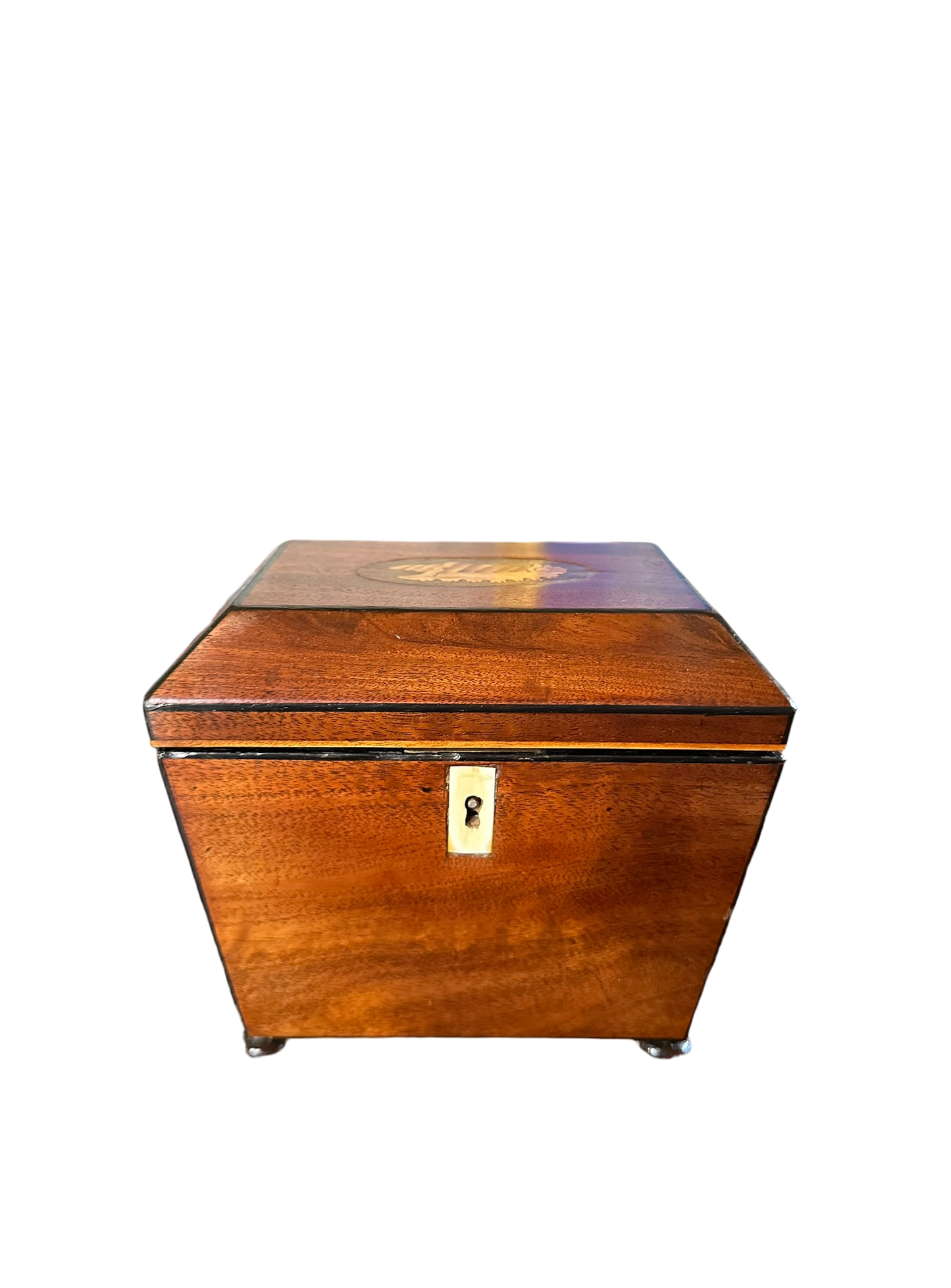 Sarcophagus Form Tea Caddy w/ Conch Shell Inlay c. 1810