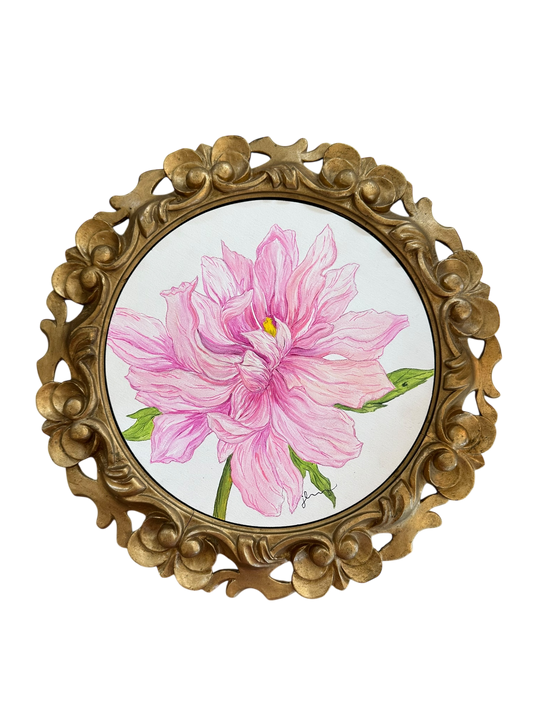 Jenn Leverett Art - Peony