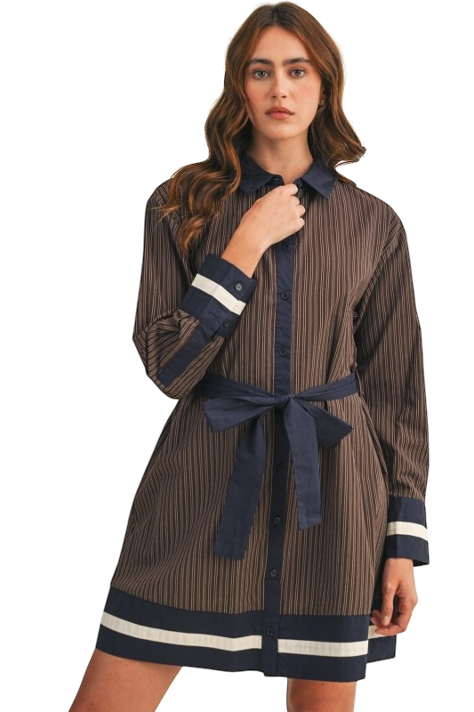 Striped Button Down Mini Dress