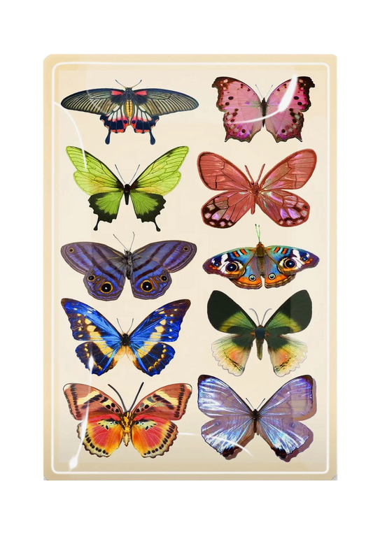 Wildflower Butterflies Decoupage
Glass Tray