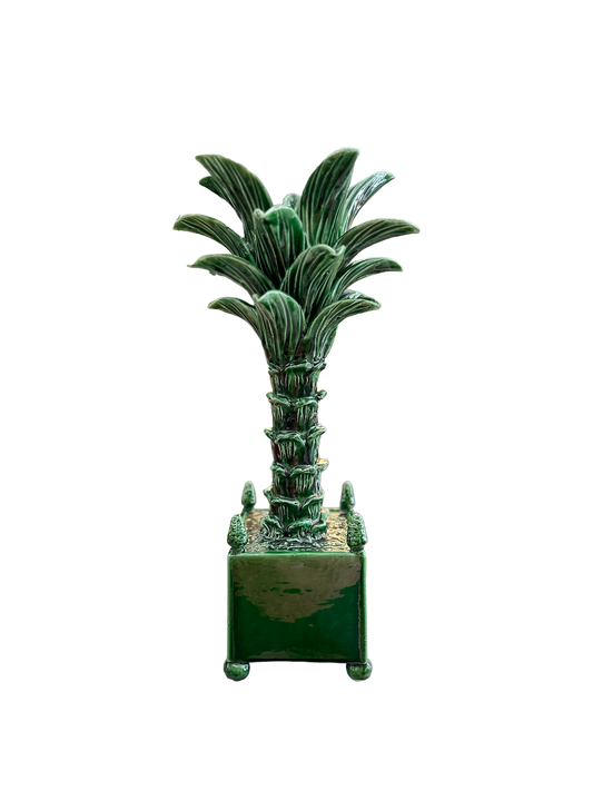 Jean Roger Palmier en Pot