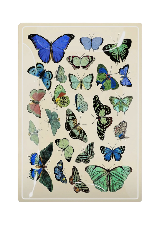 Green/ Blue Butterflies Decoupage Tray